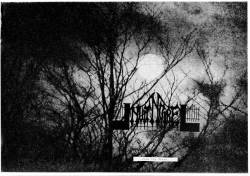 Nuit Noire : Join the Stars